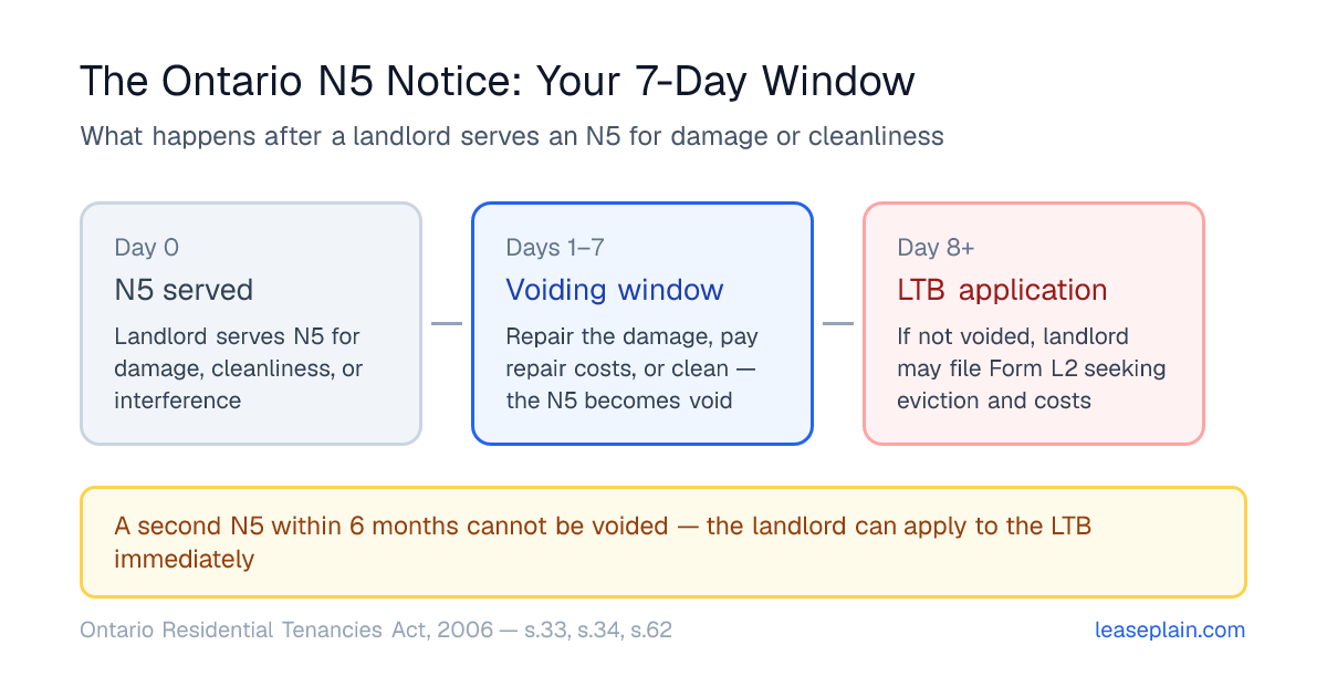 Timeline of Ontario's N5 notice process: day 0 the N5 is served, days 1 to 7 are the voiding window where the tenant can repair damage or clean to void the notice, from day 8 the landlord may file an L2 application with the LTB, and a second N5 within 6 months cannot be voided